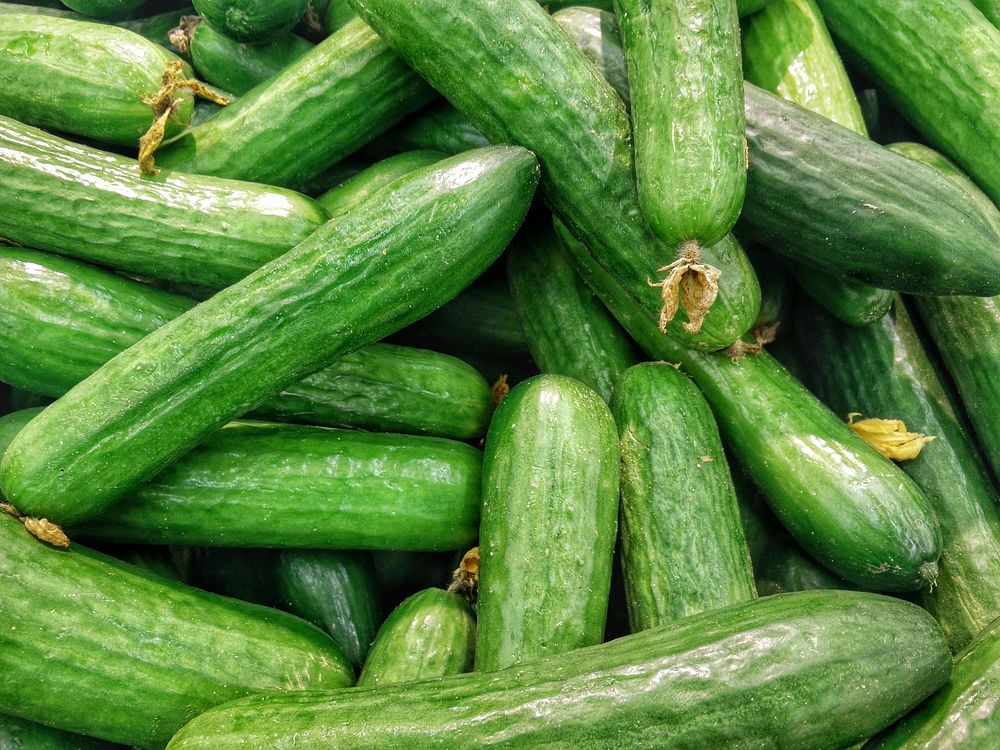Fresh green cucumbers pile background. Original public domain image from Wikimedia Commons