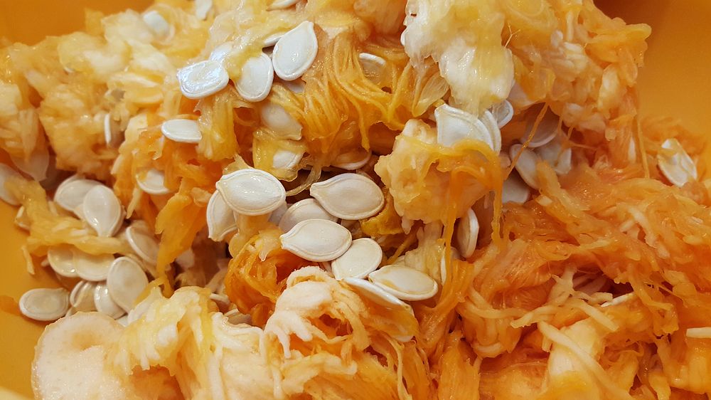 Pumpkin guts, seeds and gooey insides. Original public domain image from Wikimedia Commons
