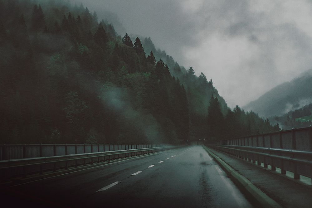 An empty wet road next to a beautiful mountain forest in Switzerland. Original public domain image from Wikimedia Commons