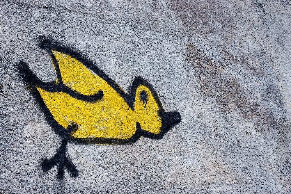 Graffiti street art of lone yellow bird on gray textured wall in Dublin. Original public domain image from Wikimedia Commons