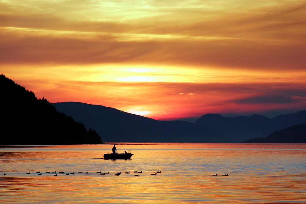 A small fishing boat sails across Nordfjordeid river with a flock of ducks during sunset. Original public domain image from…
