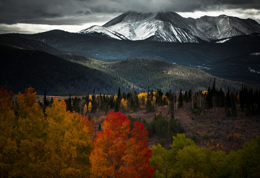 Colorful autumn trees and undulating hills near snow-capped mountains in Silverthorne. Original public domain image from…