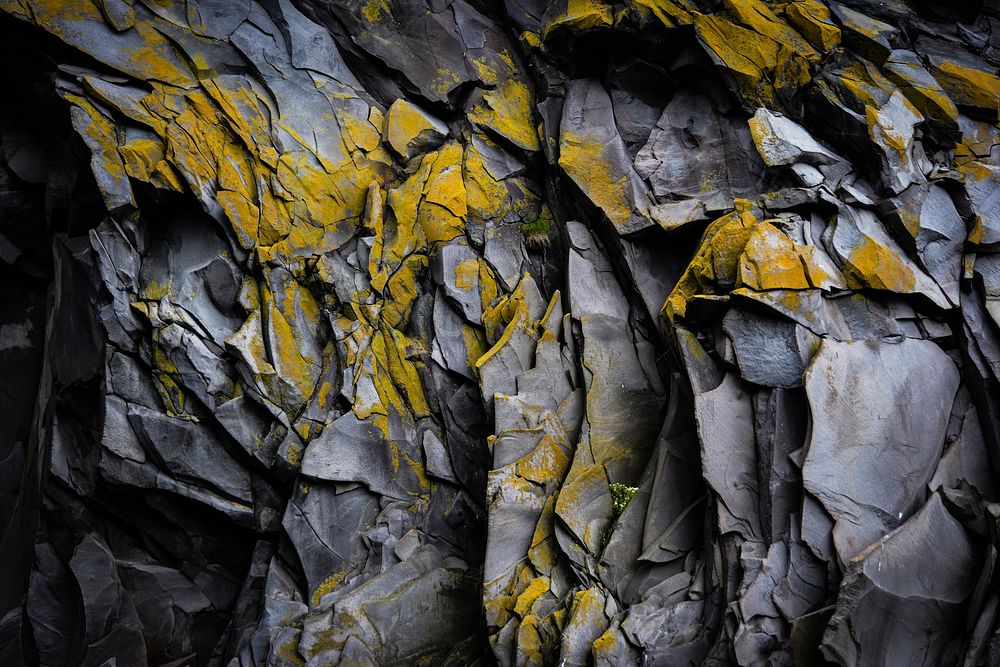 Rocks covered in yellow moss. Original public domain image from Wikimedia Commons