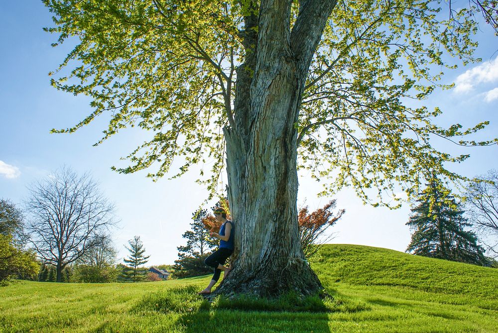 Big tree with thick trunk in green field with woman standing close-by in Spring. Original public domain image from Wikimedia…