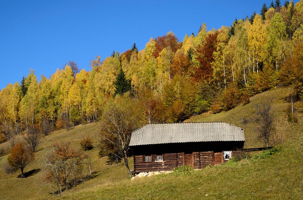 Small brown wooden house on the side of a mountain with yellowish green trees in the background under a clear sky. Original…