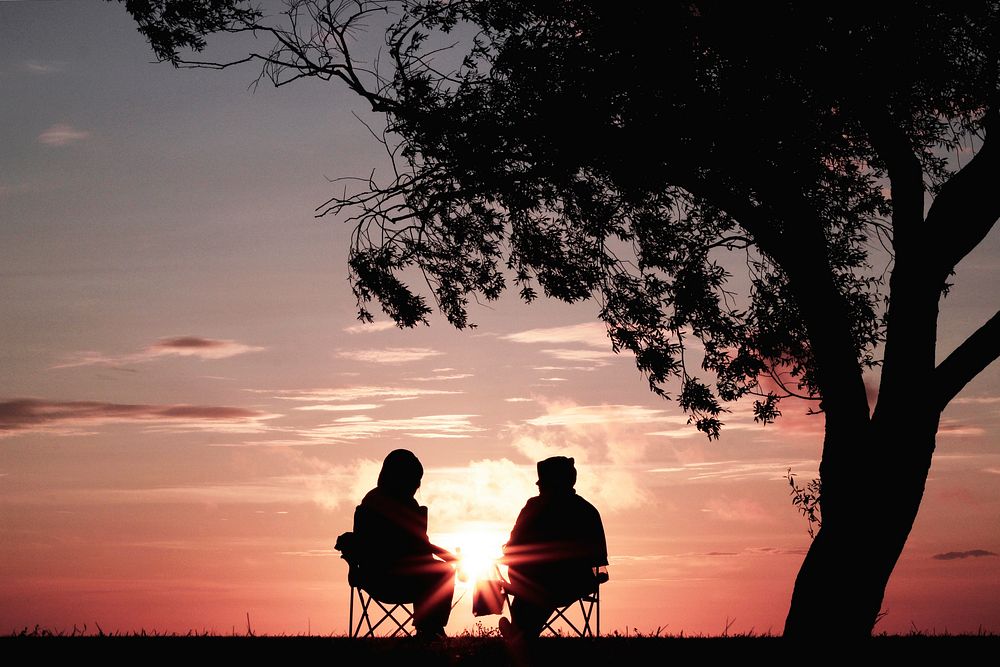 Silhouette of two people in hoodies sitting under a tree and watching a pink sunset. Original public domain image from…
