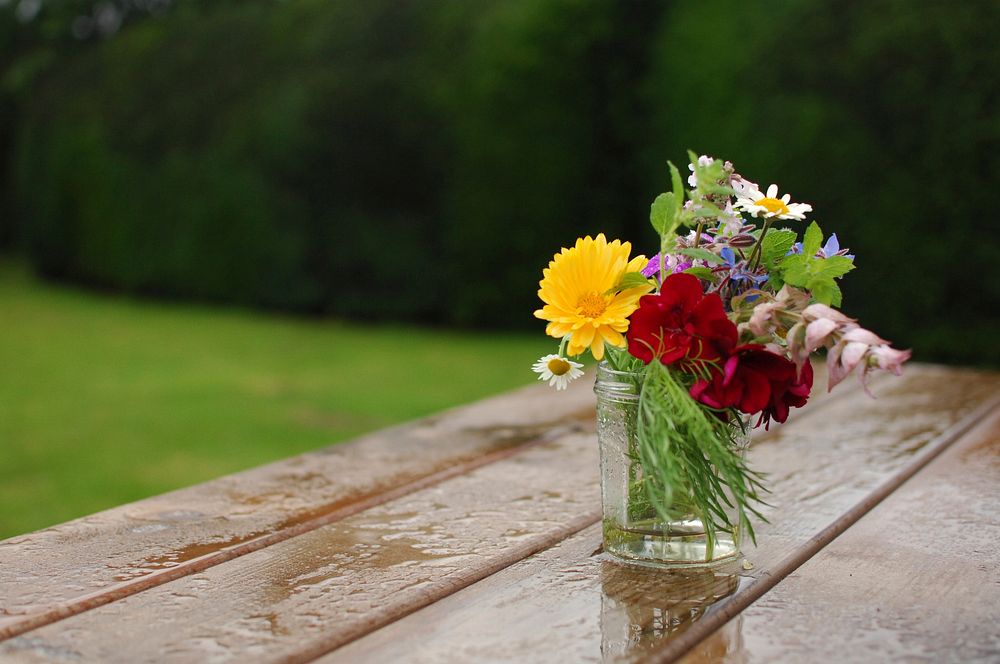 A small vase with various types of colorful flowers on a wet wooden surface outdoors. Original public domain image from…