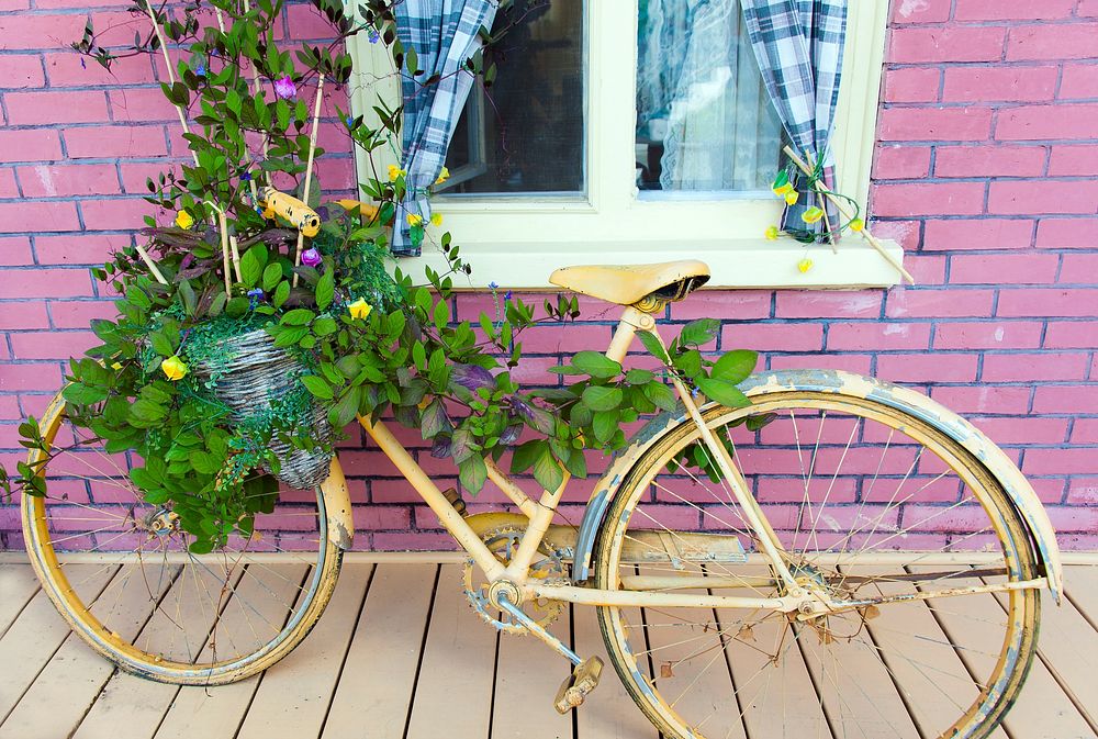 Bike with green leaves. Original public domain image from Wikimedia Commons