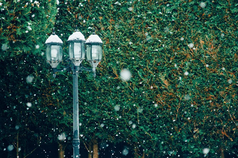 A lamp post along a hedge of greenery with winter snowfall. Original public domain image from Wikimedia Commons