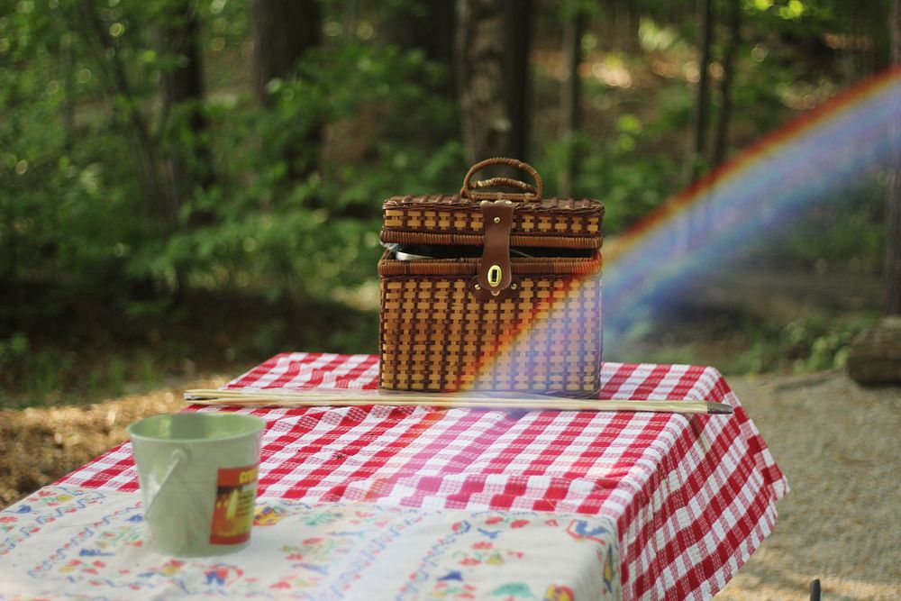 A wicker basket sitting on a picnic table with a red plaid tablecloth at White Lake State Park. Original public domain image…