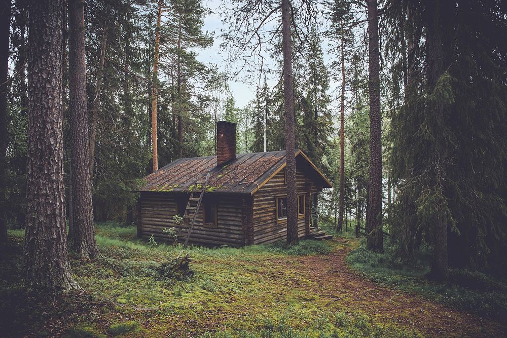 A wooden hut in the middle of forest.Original public domain image from Wikimedia Commons