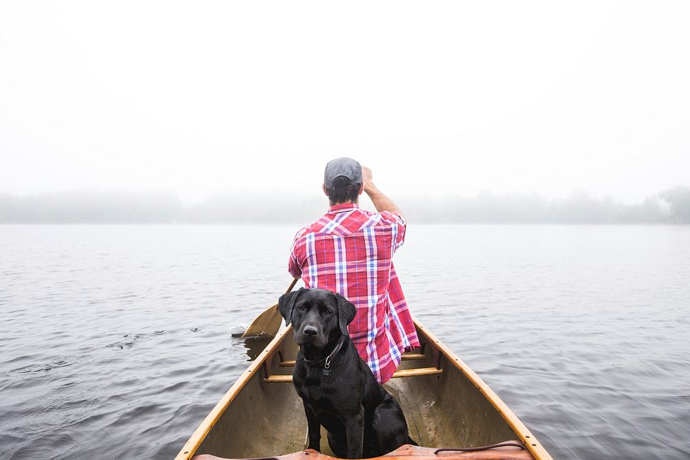 Labrador dog takes a boat ride with its owner on a calm lake. Original public domain image from Wikimedia Commons