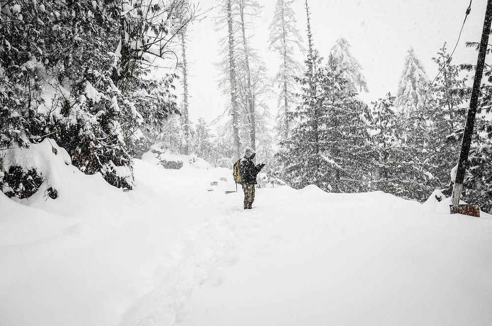 A man hiking through a forest on a snowy winter day in Shimla. Original public domain image from Wikimedia Commons