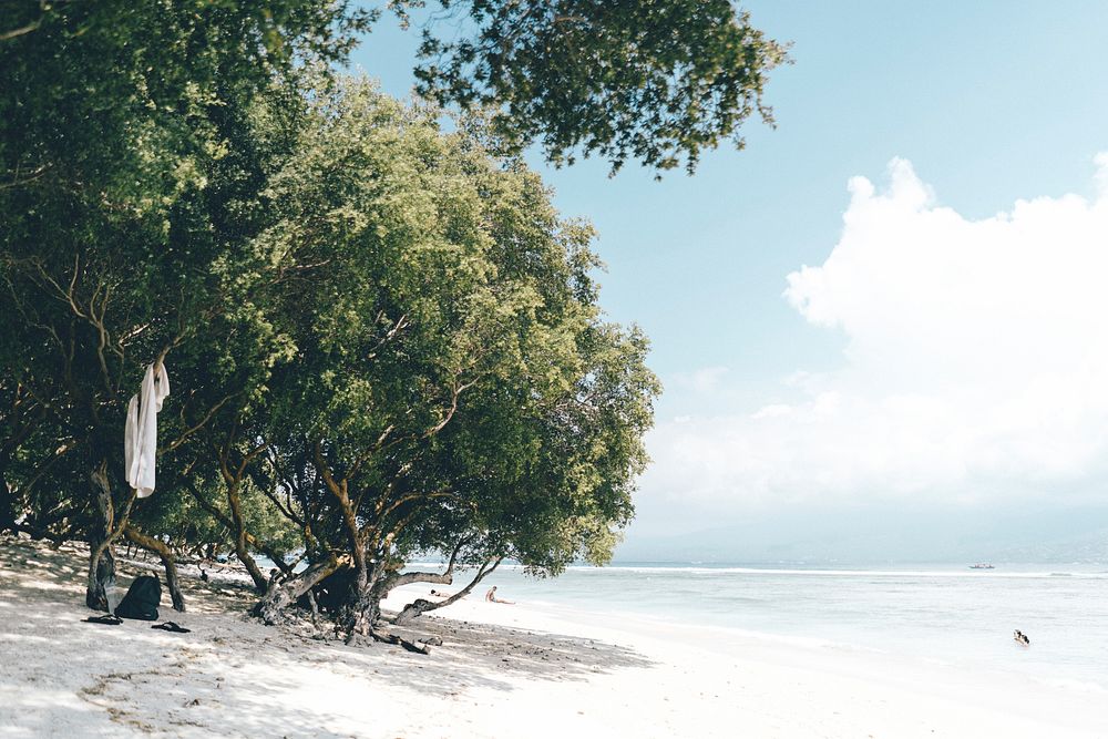 Trees on a white sandy beach by the ocean. Original public domain image from Wikimedia Commons