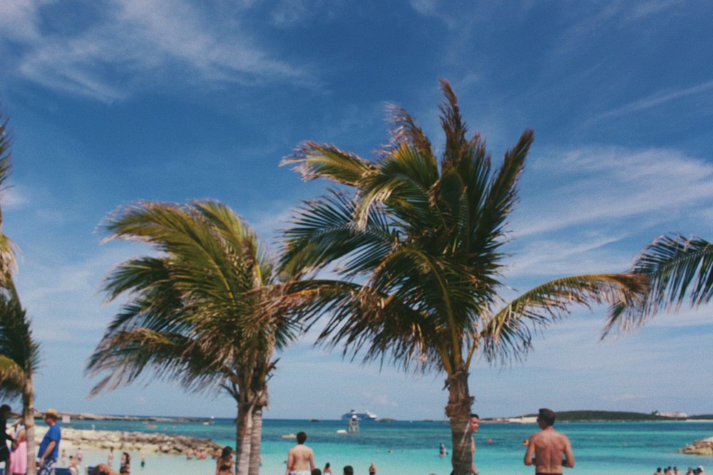Palm trees swaying in the breeze over a crowded beach. Original public domain image from Wikimedia Commons