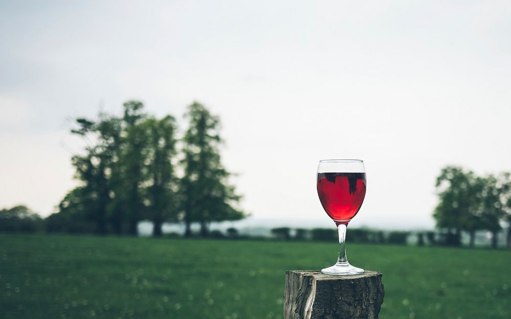 A glass of red wine on a small tree stump with a green field in the background. Original public domain image from Wikimedia…