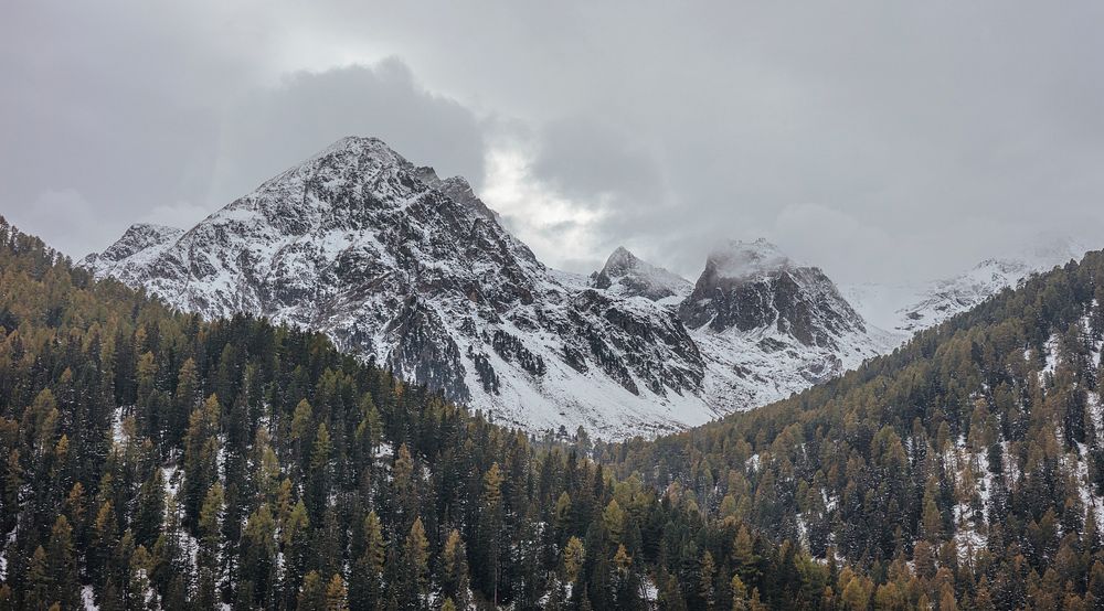 Alpine landscape with rugged snowy peaks towering over evergreen woods. Original public domain image from Wikimedia Commons