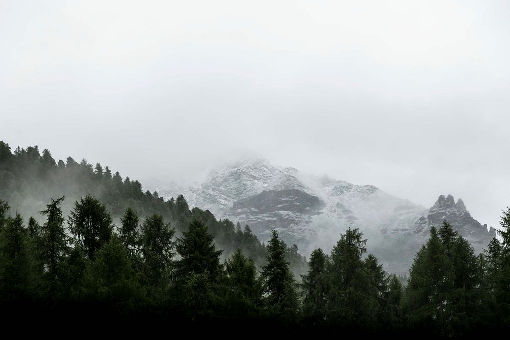 Mist covering the snowy peaks and trees near the mountain village of Pontresina, Grisons, Switzerland. Original public…