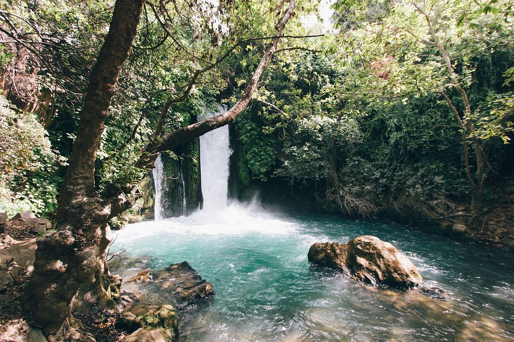 Ein Gedi Oasis, Israel. Original public domain image from Wikimedia Commons