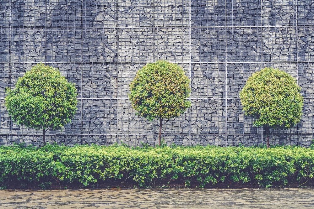 Trees next to a brick wall. Original public domain image from Wikimedia Commons