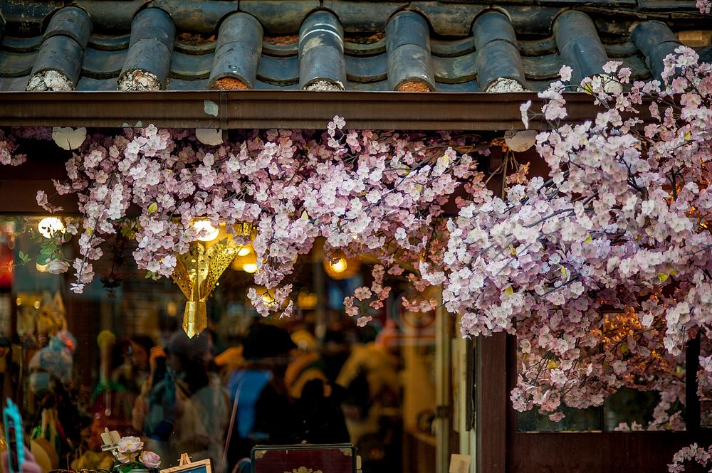 Branches of cherry blossom near a roof of an Asian-style building. Original public domain image from Wikimedia Commons