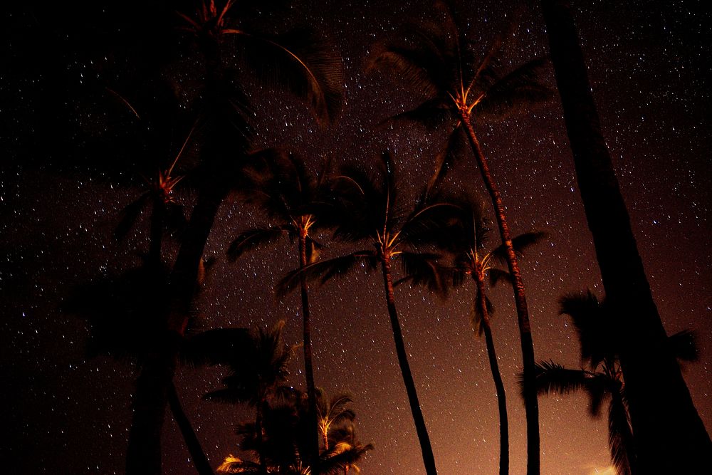 Night sky, Maui County, United States. Original public domain image from Wikimedia Commons