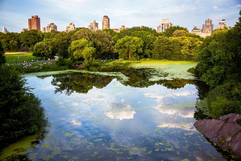 Reflection of Central Park on a pond with New York City skyline in background. Original public domain image from Wikimedia…