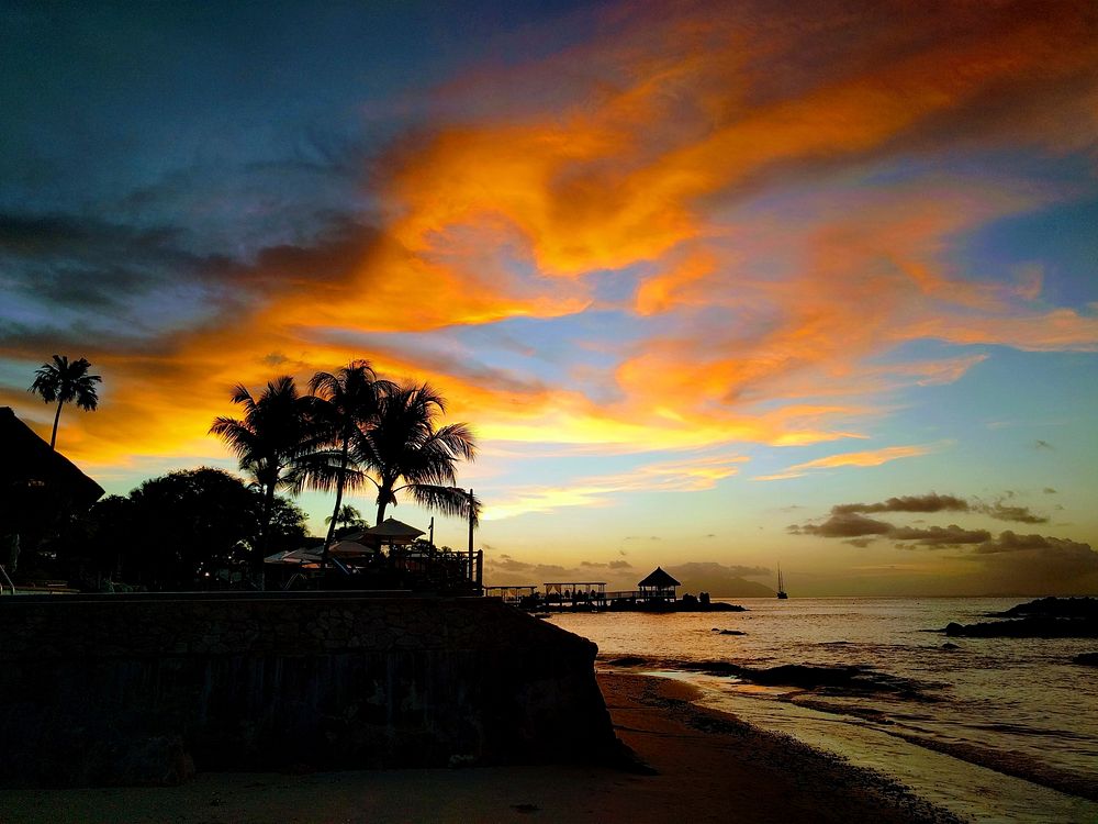 Sunset, beach, clouds, palm trees. Original public domain image from Wikimedia Commons
