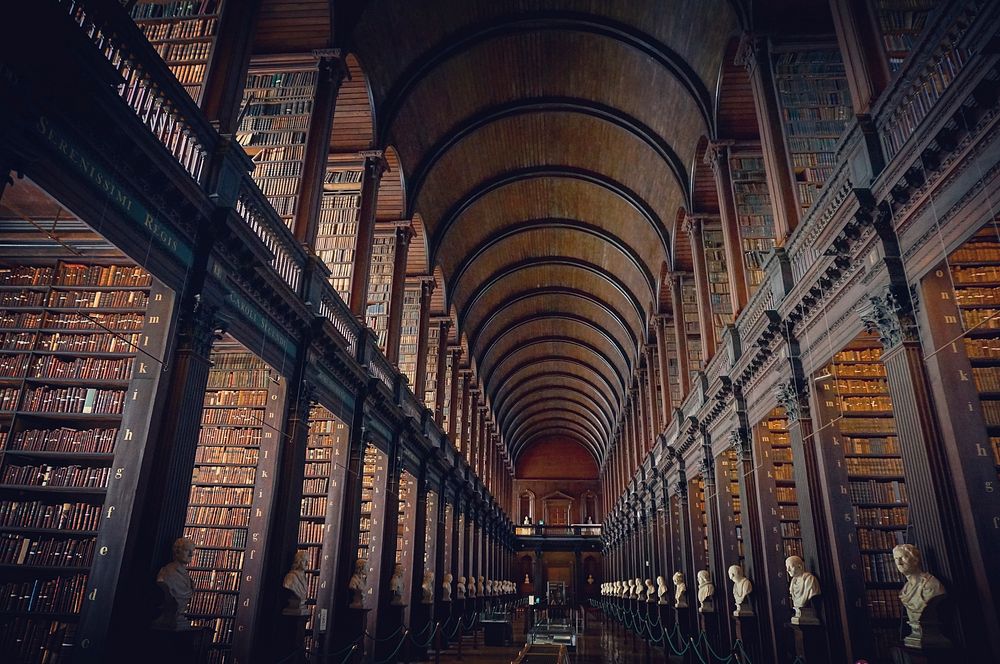 The Long Room, Trinity College Library, Dublin, Ireland. Original public domain image from Wikimedia Commons
