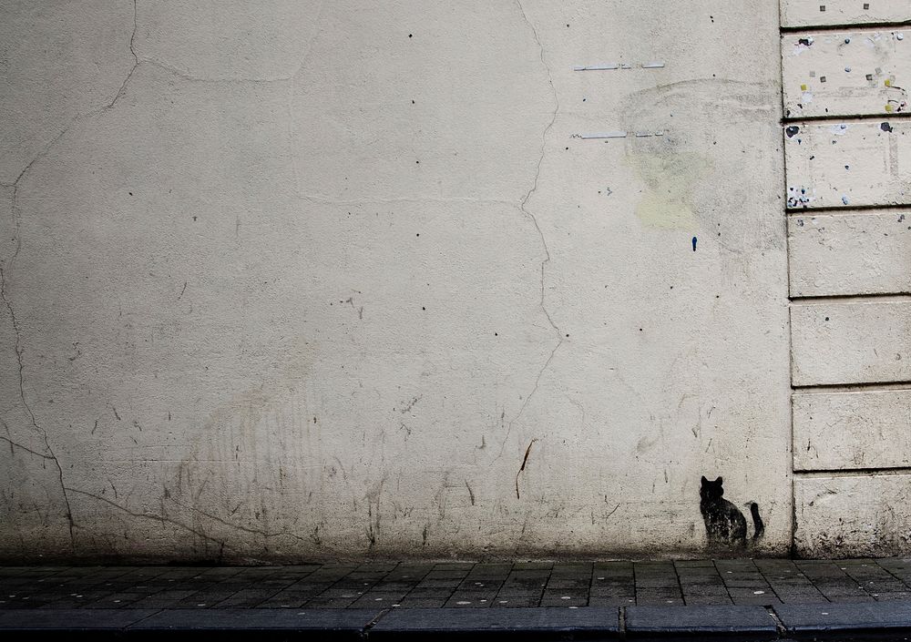 Textured, grungy white wall with mini black cat graffiti artwork in Kilkenny. Original public domain image from Wikimedia…