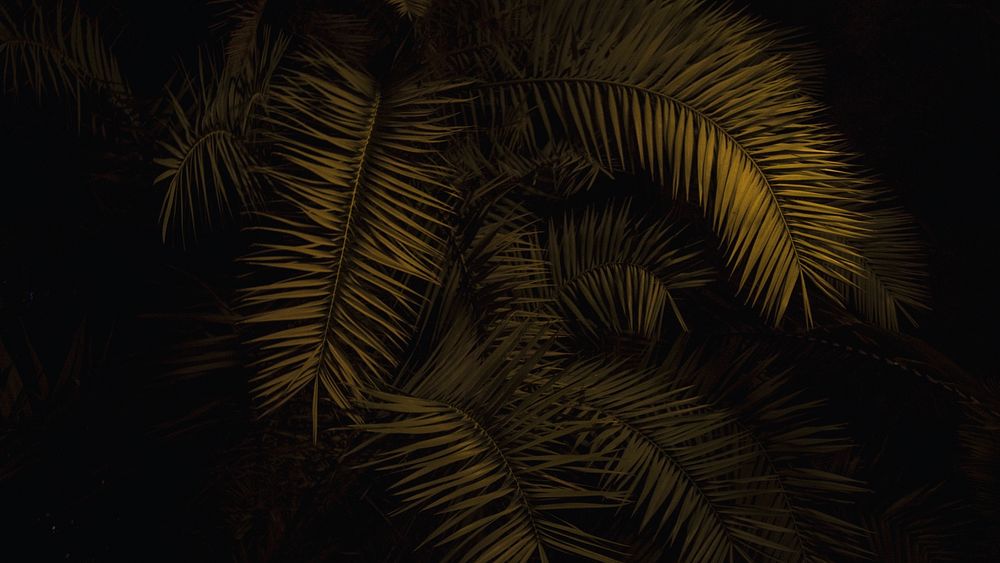 Gold palm leaves. Original public domain image from Wikimedia Commons