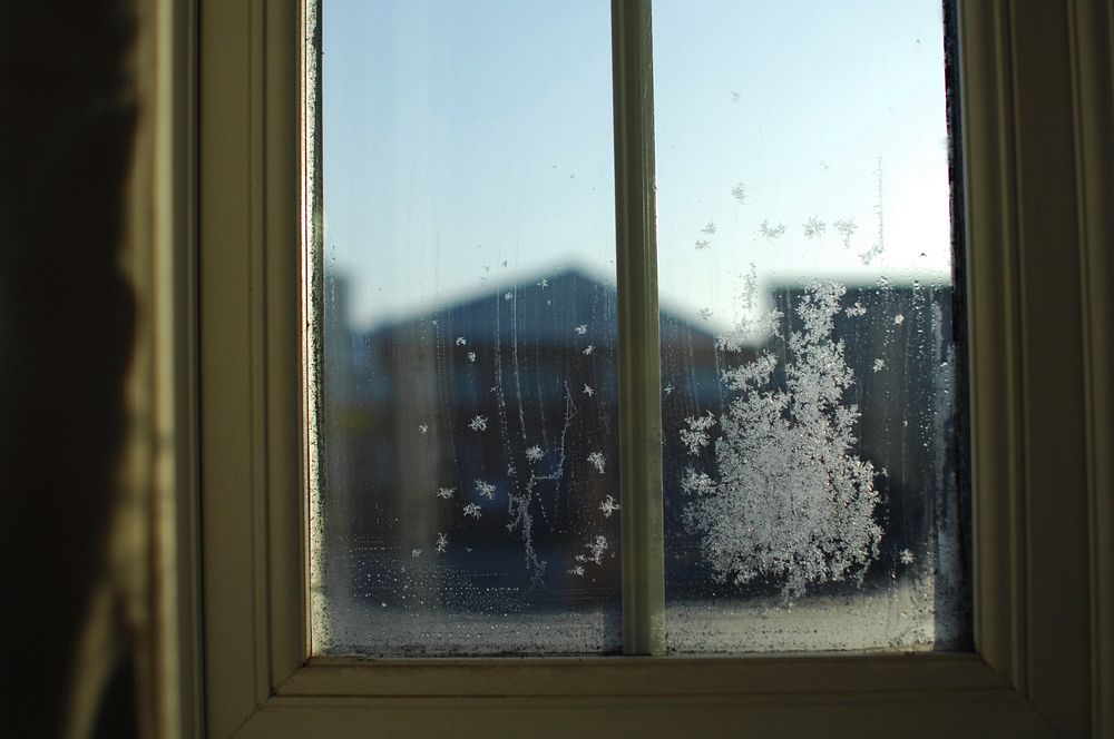 Ice crystals on a windowpane. Original public domain image from Wikimedia Commons