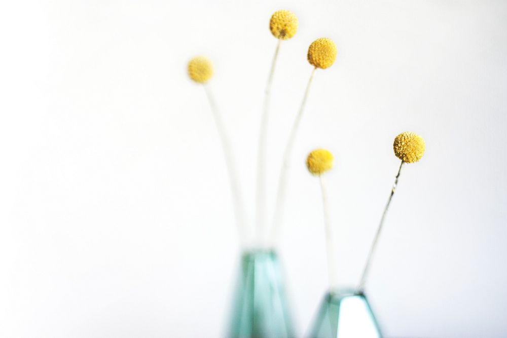 Billy buttons in green vases. Original public domain image from Wikimedia Commons