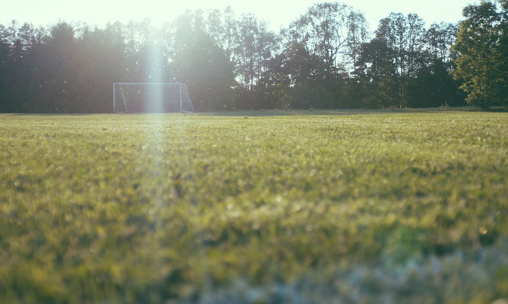 Low angle view of a green grass field with a soccer goal by the woods on a sunny day in Sweden. Original public domain image…
