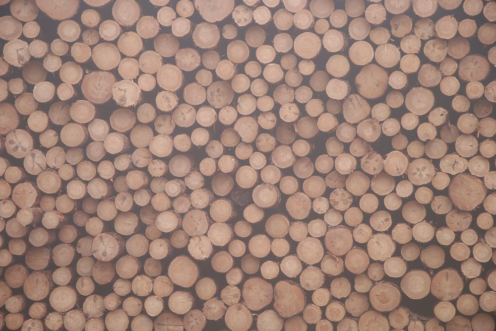 A pale shot of a huge stack of sawn logs. Original public domain image from Wikimedia Commons