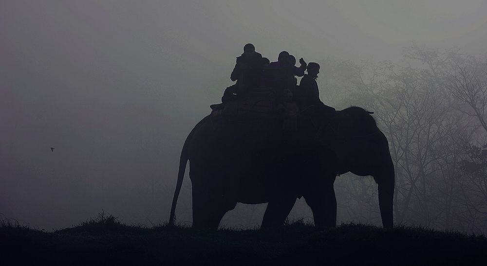Silhouette of people riding an elephant through the fog. Original public domain image from Wikimedia Commons