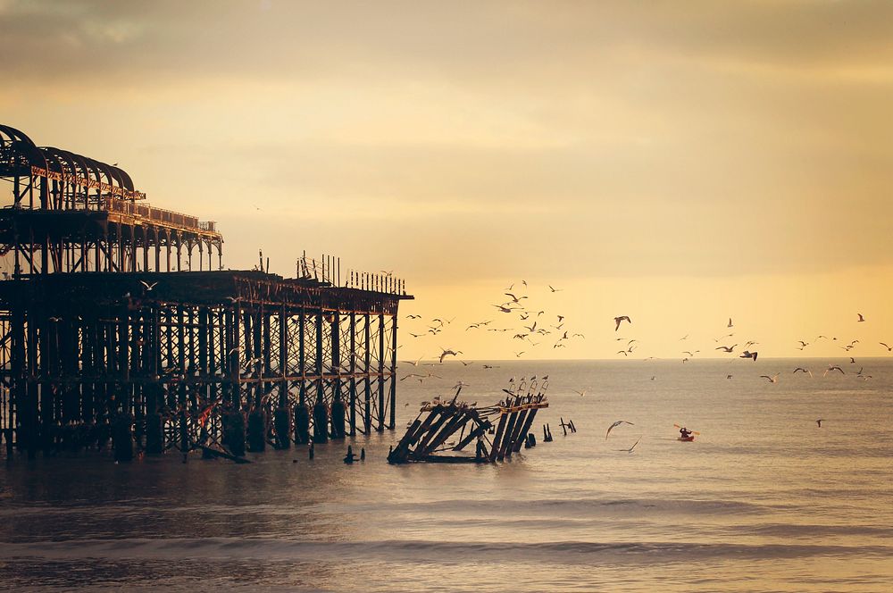 Group od seagulls are flying over pier during sunset. Original public domain image from Wikimedia Commons