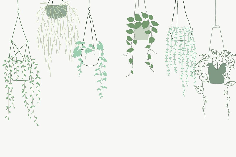 Green potted hanging plant background
