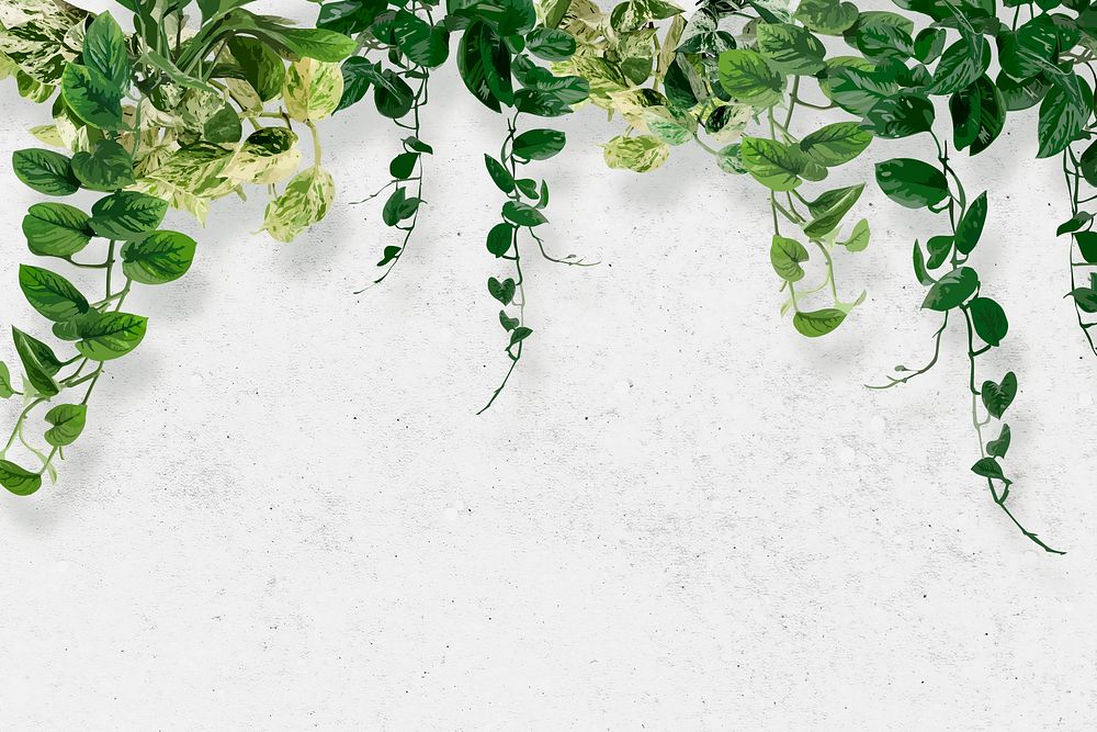 Leaf background wallpaper vector, green indoor plant