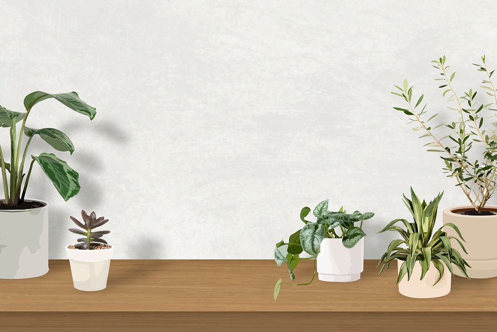 Houseplant zoom background psd home decor with blank wall