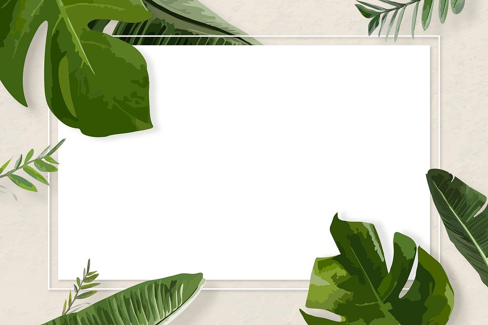 Green leaf frame psd border, Monstera plant