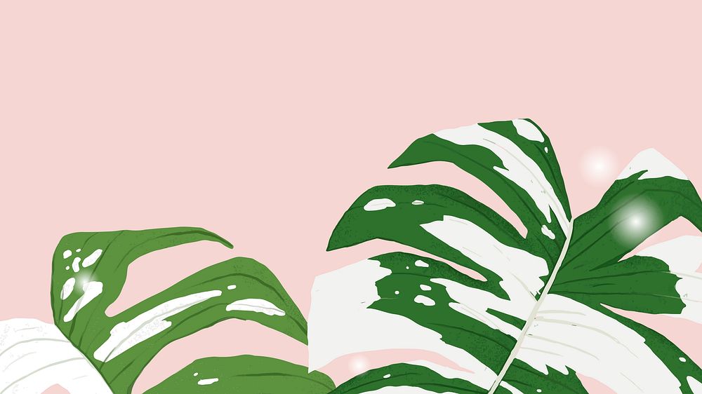 Tropical background vector monstera variegated plant illustration