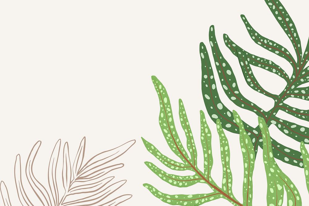 Background psd fern leaf houseplant illustration