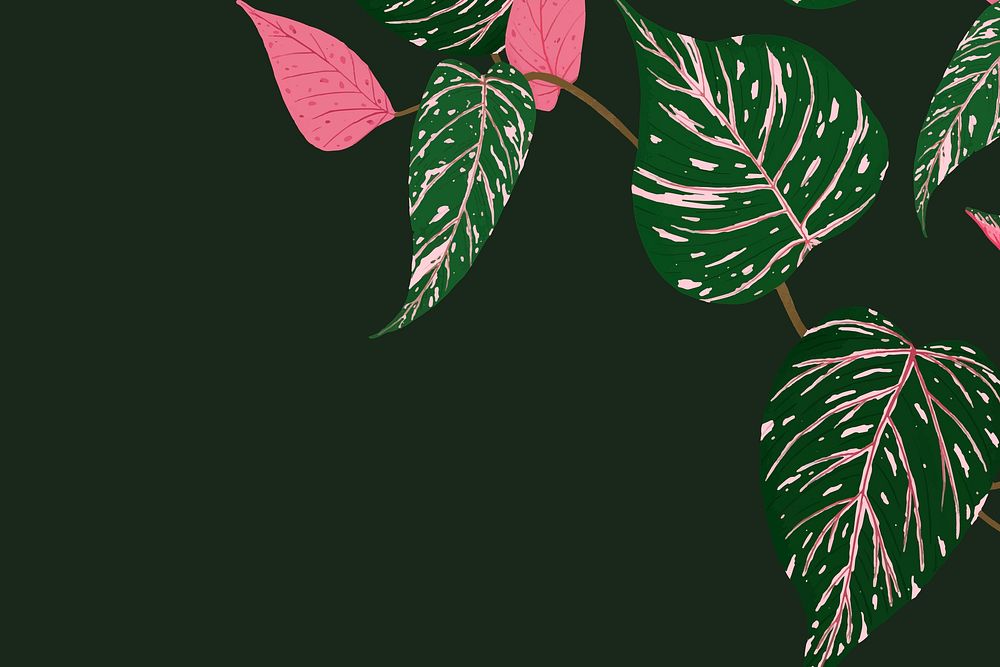 Tropical background psd calathea botanical illustration
