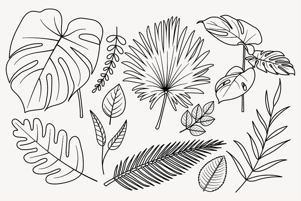 Leaf doodle clipart, cute black & white illustration set psd
