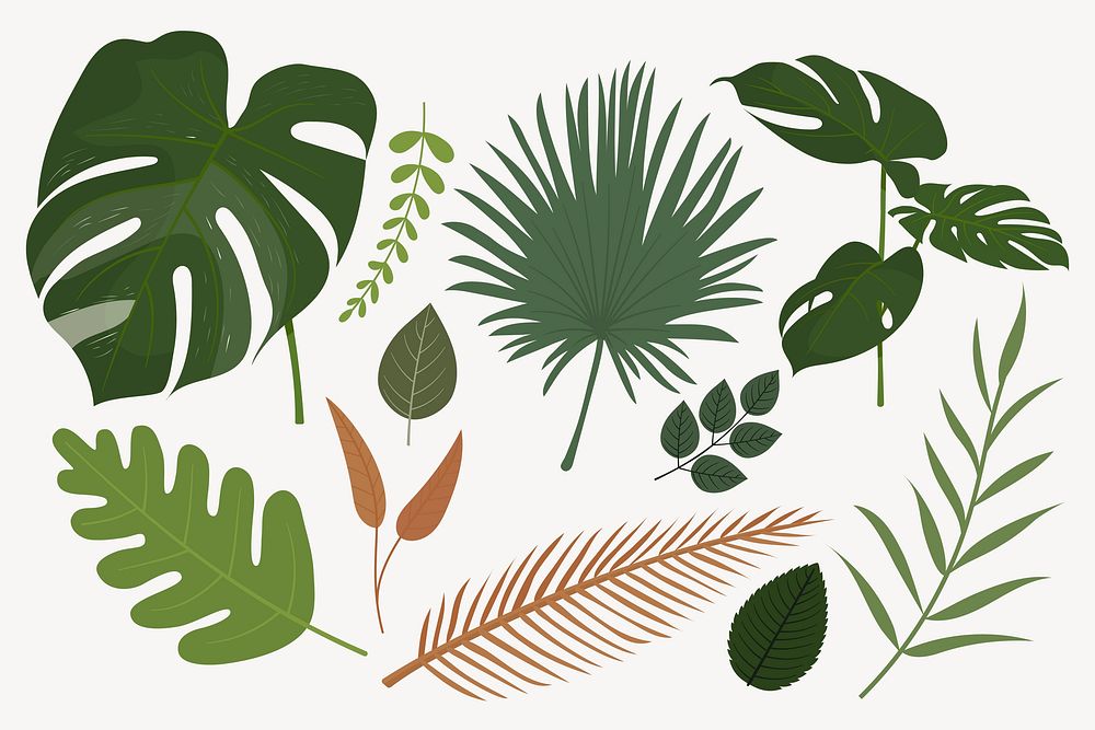 Tropical leaf collage element, cute cartoon illustration set vector