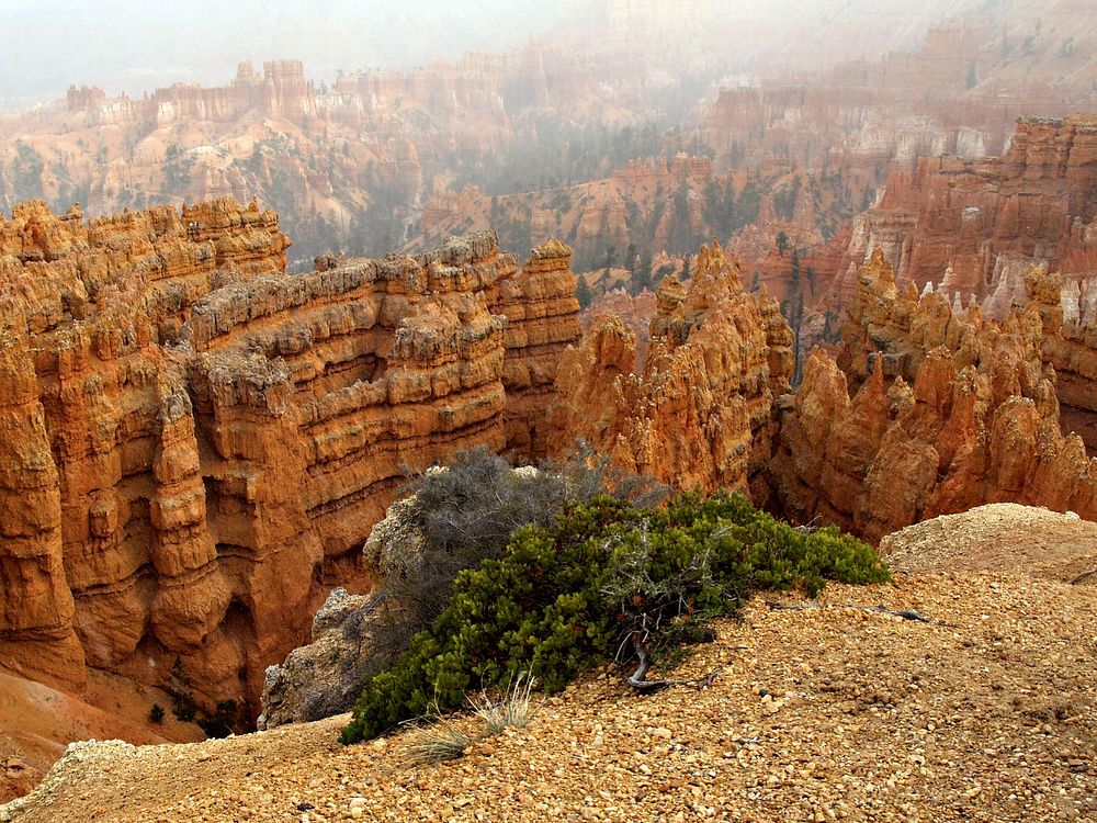 Eroded sedimentary rocks in Bryce Canyon National Park, Utah, USA. Original public domain image from Wikimedia Commons