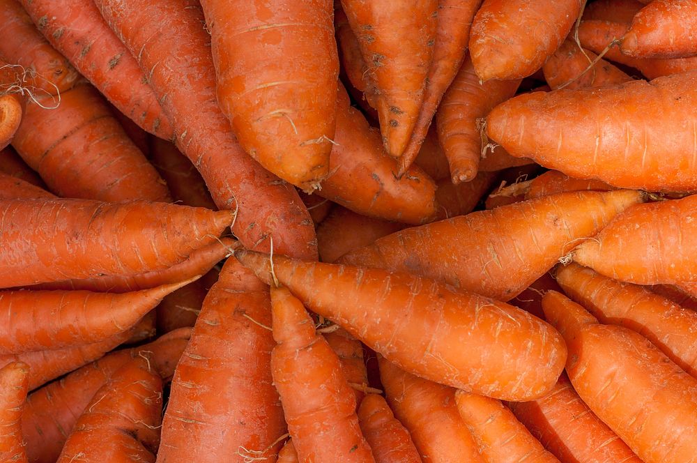 Carrots. Original public domain image from Wikimedia Commons