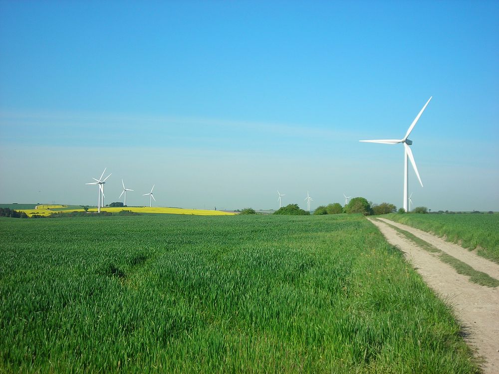 Wind turbines at a wind farm. Original public domain image from Wikimedia Commons