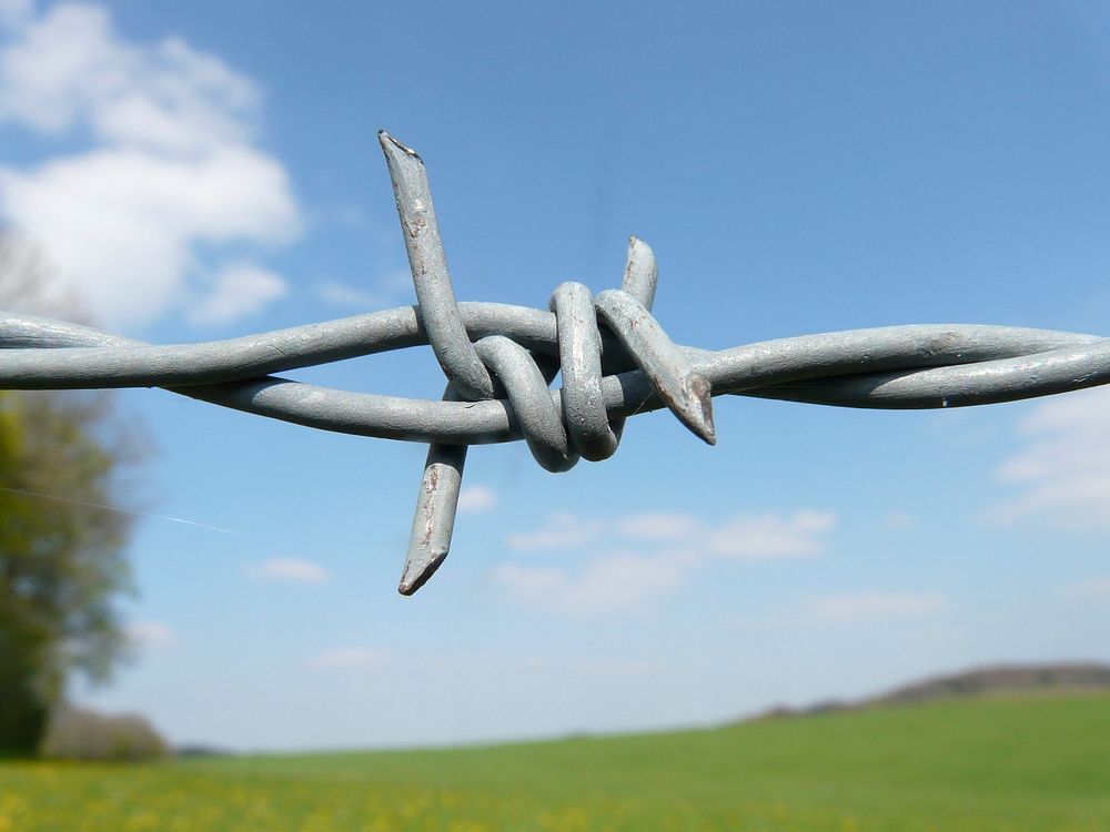 Barbed wire. Original public domain image from Wikimedia Commons